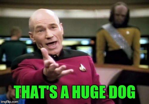 Picard Wtf Meme | THAT'S A HUGE DOG | image tagged in memes,picard wtf | made w/ Imgflip meme maker