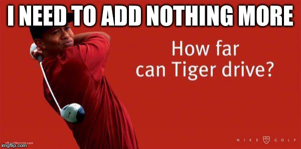 Best ad ever | I NEED TO ADD NOTHING MORE | image tagged in tiger woods,memes,funny | made w/ Imgflip meme maker