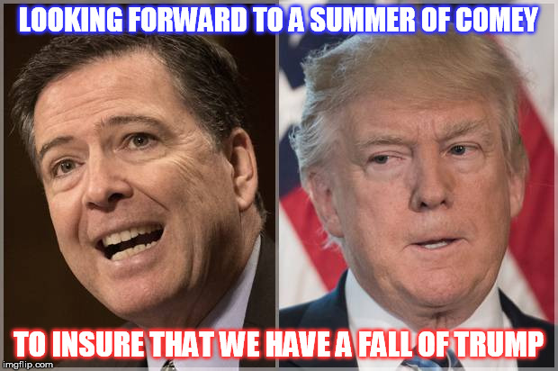 Every thing in its season, | LOOKING FORWARD TO A SUMMER OF COMEY; TO INSURE THAT WE HAVE A FALL OF TRUMP | image tagged in james comey,donald trump | made w/ Imgflip meme maker