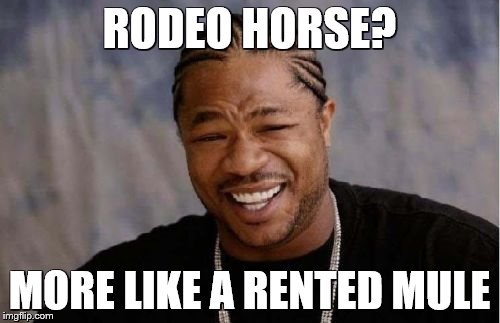 Yo Dawg Heard You Meme | RODEO HORSE? MORE LIKE A RENTED MULE | image tagged in memes,yo dawg heard you | made w/ Imgflip meme maker