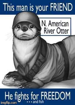 Otter | image tagged in memes | made w/ Imgflip meme maker