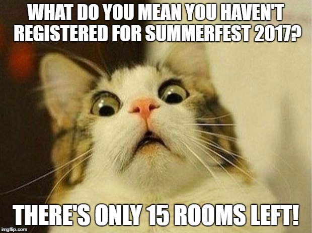 Scared Cat Meme | WHAT DO YOU MEAN YOU HAVEN'T REGISTERED FOR SUMMERFEST 2017? THERE'S ONLY 15 ROOMS LEFT! | image tagged in memes,scared cat | made w/ Imgflip meme maker