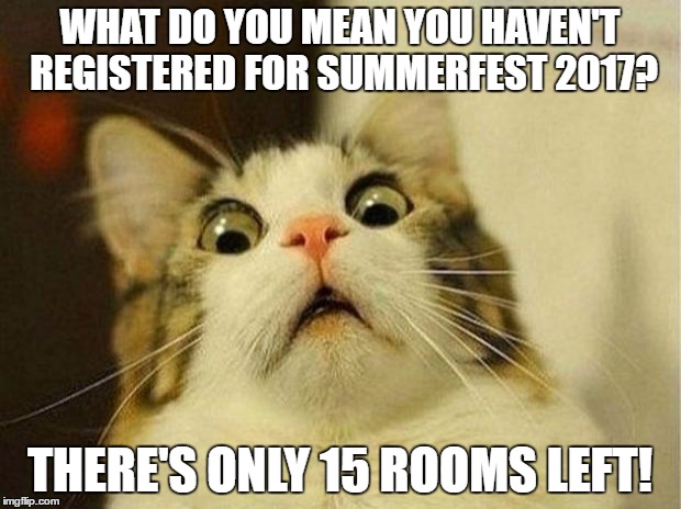Scared Cat | WHAT DO YOU MEAN YOU HAVEN'T REGISTERED FOR SUMMERFEST 2017? THERE'S ONLY 15 ROOMS LEFT! | image tagged in memes,scared cat | made w/ Imgflip meme maker