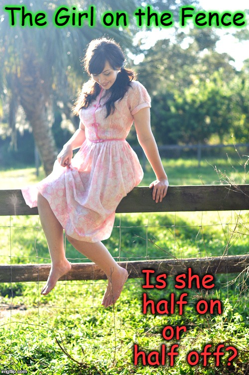 Like the Proverbial Glass of Water | The Girl on the Fence; Is she half on or    half off? | image tagged in vince vance,optimist or pessimist,country girl,you don't have to be lonely,farmersonlycom,barefoot girl on fence | made w/ Imgflip meme maker