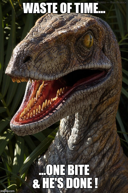 Memes | WASTE OF TIME... ...ONE BITE & HE'S DONE ! | image tagged in memes | made w/ Imgflip meme maker