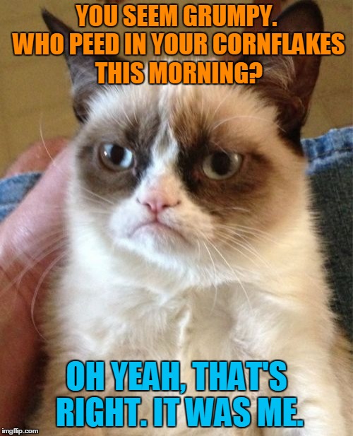 Grumpy Cat | YOU SEEM GRUMPY. WHO PEED IN YOUR CORNFLAKES THIS MORNING? OH YEAH, THAT'S RIGHT. IT WAS ME. | image tagged in memes,grumpy cat | made w/ Imgflip meme maker