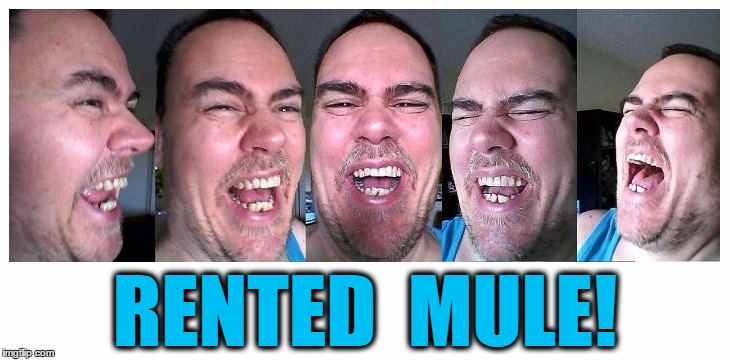 LOL | RENTED  MULE! | image tagged in lol | made w/ Imgflip meme maker