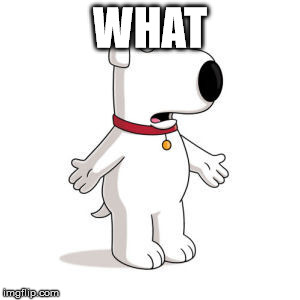 Family Guy Brian | WHAT | image tagged in memes,family guy brian | made w/ Imgflip meme maker