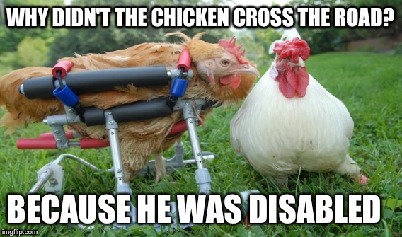 WHY DIDN'T THE CHICKEN CROSS THE ROAD? | image tagged in memes | made w/ Imgflip meme maker