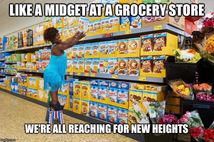 LIKE A MIDGET AT A GROCERY STORE | image tagged in memes | made w/ Imgflip meme maker