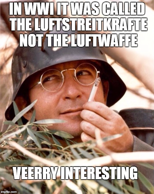HISTORY NAZI | IN WWI IT WAS CALLED THE LUFTSTREITKRAFTE NOT THE LUFTWAFFE; VEERRY INTERESTING | image tagged in wolfgang the german soldier,history,luftwaffe,ww1 | made w/ Imgflip meme maker