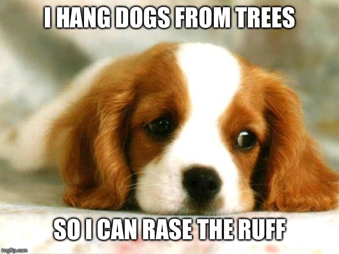 I HANG DOGS FROM TREES; SO I CAN RASE THE RUFF | image tagged in doge,memes | made w/ Imgflip meme maker