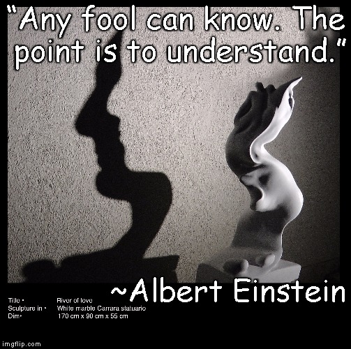 Face In Shadow | “Any fool can know. The point is to understand.”; ~Albert Einstein | image tagged in albert einstein,understanding,sculpture,essence,wisdom | made w/ Imgflip meme maker