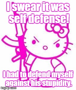 defenseagainststupidity | I swear it was self defense! I had to defend myself against his stupidity. | image tagged in defenseagainststupidity | made w/ Imgflip meme maker