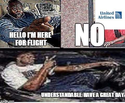 Understandable. Have a Great Day | NO; HELLO I'M HERE FOR FLIGHT; UNDERSTANDABLE. HAVE A GREAT DAY | image tagged in united airlines | made w/ Imgflip meme maker