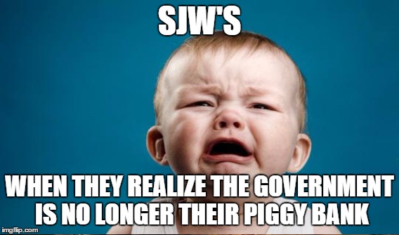 SJW'S WHEN THEY REALIZE THE GOVERNMENT IS NO LONGER THEIR PIGGY BANK | made w/ Imgflip meme maker