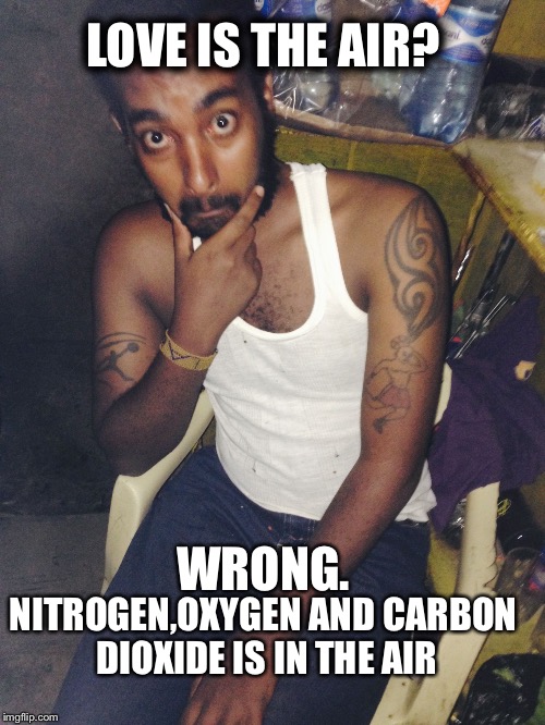 LOVE IS THE AIR? WRONG. NITROGEN,OXYGEN AND CARBON DIOXIDE IS IN THE AIR | image tagged in wargas | made w/ Imgflip meme maker