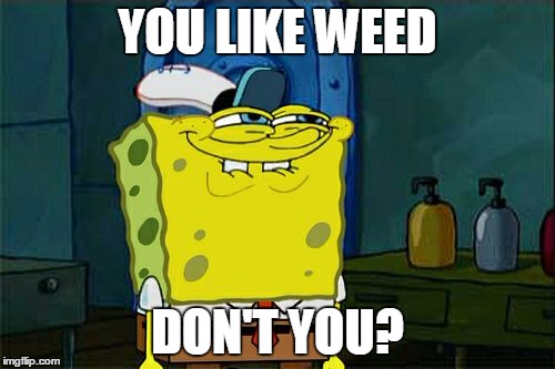 Don't You Squidward Meme | YOU LIKE WEED; DON'T YOU? | image tagged in memes,dont you squidward | made w/ Imgflip meme maker