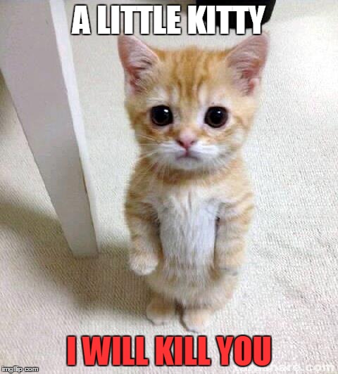 Cute Cat | A LITTLE KITTY; I WILL KILL YOU | image tagged in memes,cute cat | made w/ Imgflip meme maker