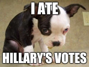 Brought to you by The Clinton Foundation. | I ATE; HILLARY'S VOTES | image tagged in memes,funny,dogs | made w/ Imgflip meme maker