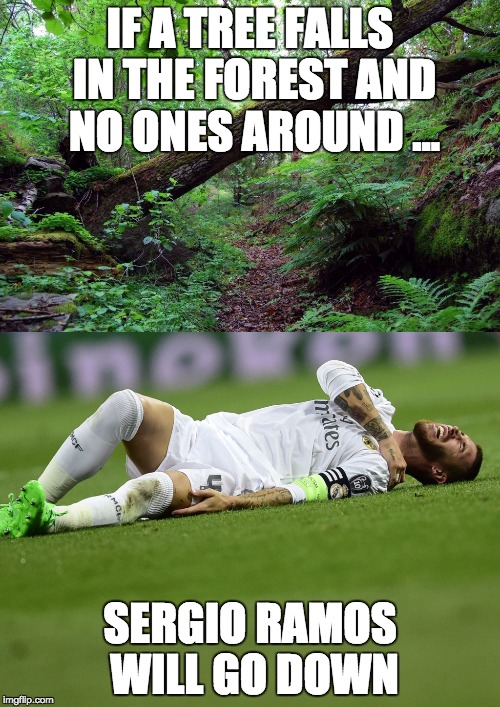 If a Tree Falls in the woods... | IF A TREE FALLS IN THE FOREST AND NO ONES AROUND ... SERGIO RAMOS WILL GO DOWN | image tagged in ramos dive sergioramos ramosdive sergiodoesdiving ucl ucl championsleague championsleaguefinal uefachampionsleague uefachampions | made w/ Imgflip meme maker
