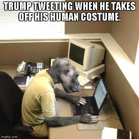Monkey Business | TRUMP TWEETING WHEN HE TAKES OFF HIS HUMAN COSTUME. | image tagged in memes,monkey business | made w/ Imgflip meme maker