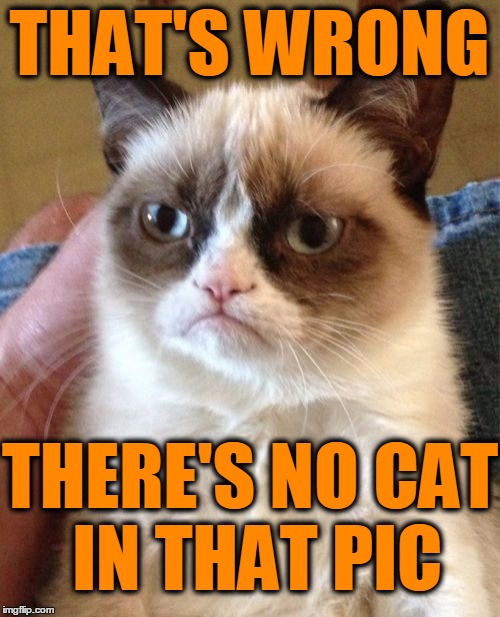 Grumpy Cat Meme | THAT'S WRONG THERE'S NO CAT IN THAT PIC | image tagged in memes,grumpy cat | made w/ Imgflip meme maker