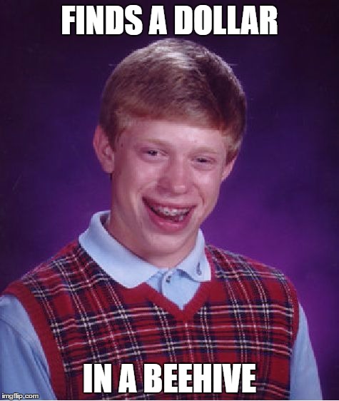 Bad Luck Brian Meme | FINDS A DOLLAR; IN A BEEHIVE | image tagged in memes,bad luck brian | made w/ Imgflip meme maker