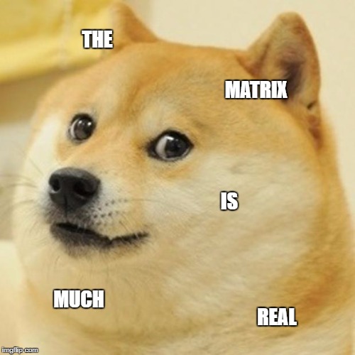 Doge Meme | THE; MATRIX; IS; MUCH; REAL | image tagged in memes,doge | made w/ Imgflip meme maker