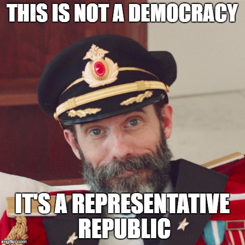 Captain Obvious large | THIS IS NOT A DEMOCRACY IT'S A REPRESENTATIVE REPUBLIC | image tagged in captain obvious large | made w/ Imgflip meme maker