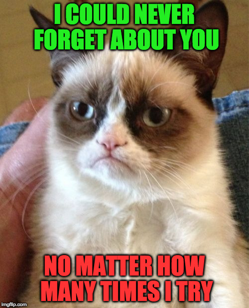 Grumpy Cat Meme | I COULD NEVER FORGET ABOUT YOU NO MATTER HOW MANY TIMES I TRY | image tagged in memes,grumpy cat | made w/ Imgflip meme maker