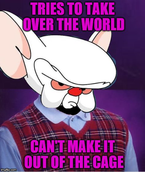 Bad planning brain | TRIES TO TAKE OVER THE WORLD; CAN'T MAKE IT OUT OF THE CAGE | image tagged in bad luck brian,bad luck brain | made w/ Imgflip meme maker