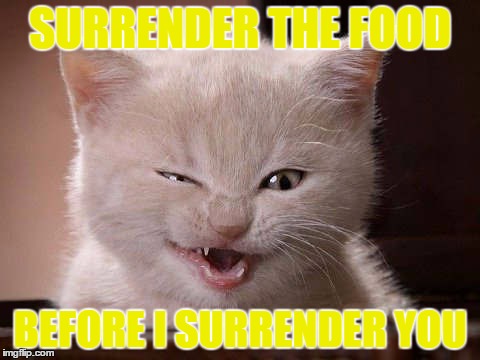 SURRENDER THE FOOD; BEFORE I SURRENDER YOU | made w/ Imgflip meme maker