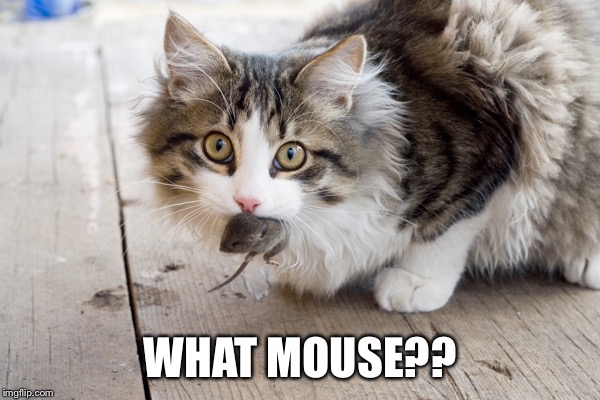 WHAT MOUSE?? | made w/ Imgflip meme maker