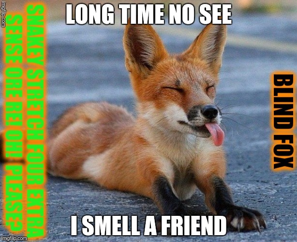 LONG TIME NO SEE I SMELL A FRIEND | made w/ Imgflip meme maker