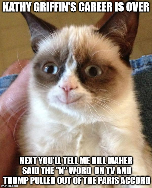 Grumpy Cat Happy | KATHY GRIFFIN'S CAREER IS OVER; NEXT YOU'LL TELL ME BILL MAHER SAID THE "N" WORD  ON TV AND TRUMP PULLED OUT OF THE PARIS ACCORD | image tagged in memes,grumpy cat happy,grumpy cat | made w/ Imgflip meme maker