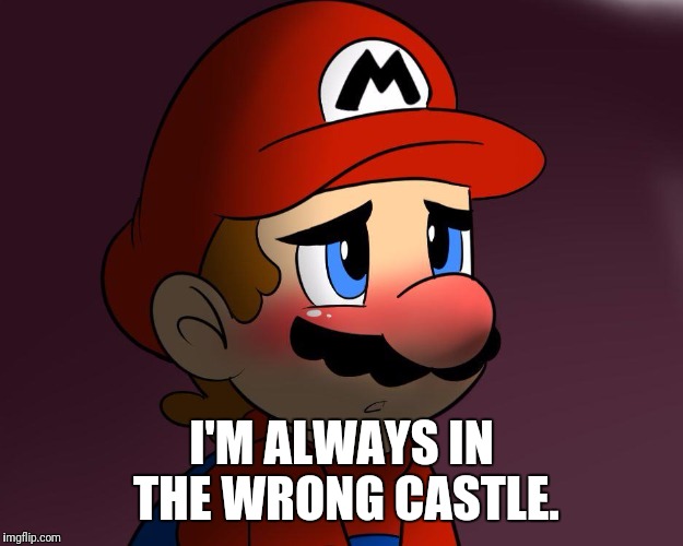 Confession Mario | I'M ALWAYS IN THE WRONG CASTLE. | image tagged in confession mario,memes,first world problems | made w/ Imgflip meme maker