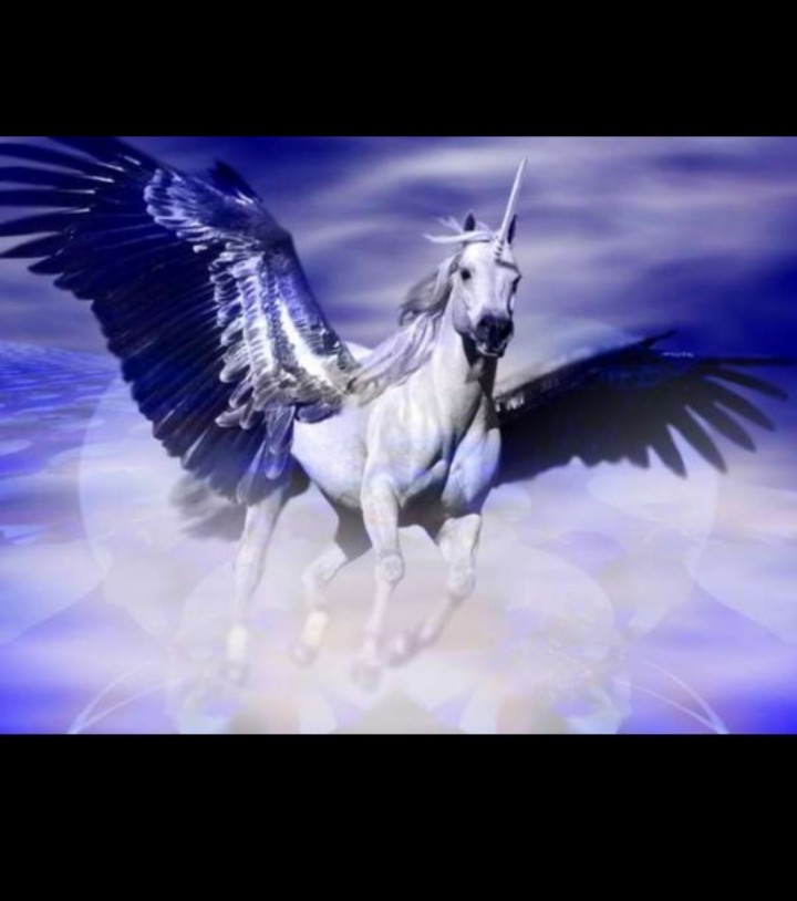 Flying Pegasus Unicorn Blank Meme Template