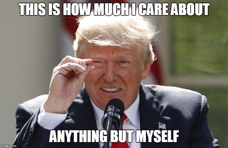 Honest trump | THIS IS HOW MUCH I CARE ABOUT; ANYTHING BUT MYSELF | image tagged in trump,small,little,honesty | made w/ Imgflip meme maker