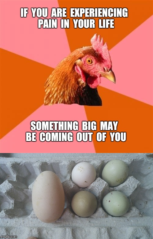 This monster egg was laid by one of my hens. |  IF  YOU  ARE  EXPERIENCING  PAIN  IN  YOUR  LIFE; SOMETHING  BIG  MAY  BE  COMING  OUT  OF  YOU | image tagged in egg,chicken,birth | made w/ Imgflip meme maker