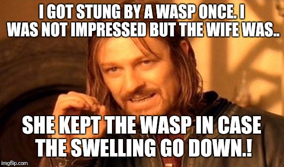 Women.!!?? | I GOT STUNG BY A WASP ONCE. I WAS NOT IMPRESSED BUT THE WIFE WAS.. SHE KEPT THE WASP IN CASE THE SWELLING GO DOWN.! | image tagged in memes,one does not simply | made w/ Imgflip meme maker