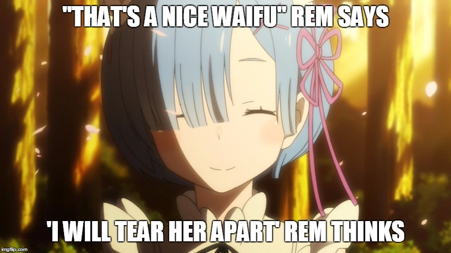 What Rem is REALLY thinking | "THAT'S A NICE WAIFU" REM SAYS; 'I WILL TEAR HER APART' REM THINKS | image tagged in what rem is really thinking | made w/ Imgflip meme maker