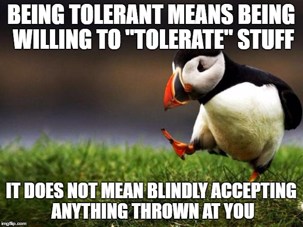 Unpopular Opinion Puffin | BEING TOLERANT MEANS BEING WILLING TO "TOLERATE" STUFF; IT DOES NOT MEAN BLINDLY ACCEPTING ANYTHING THROWN AT YOU | image tagged in memes,unpopular opinion puffin | made w/ Imgflip meme maker