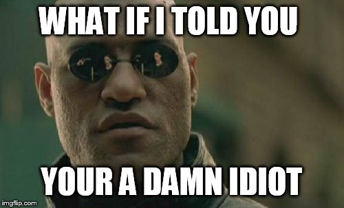 Matrix Morpheus | WHAT IF I TOLD YOU; YOUR A DAMN IDIOT | image tagged in memes,matrix morpheus | made w/ Imgflip meme maker