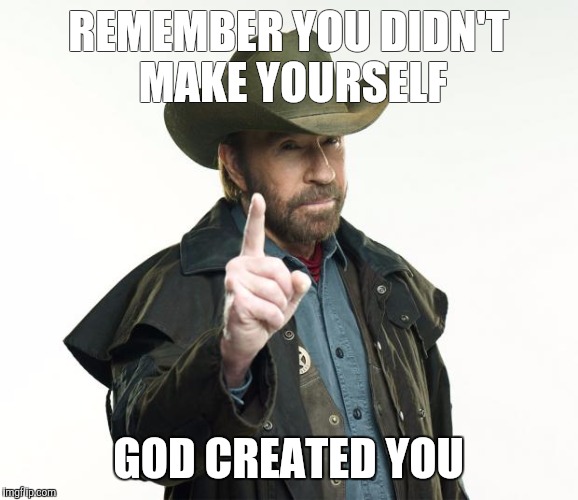 You're not your own. | REMEMBER YOU DIDN'T MAKE YOURSELF; GOD CREATED YOU | image tagged in memes,chuck norris finger,chuck norris | made w/ Imgflip meme maker