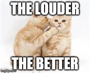 Music Is never too Loud! | THE LOUDER; THE BETTER | image tagged in memes,rock n roll,never,loud music,cute kittens | made w/ Imgflip meme maker