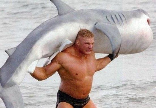 Brock Lesnar and shark Blank Meme Template