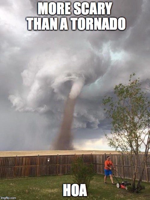 tornado dad | MORE SCARY THAN A TORNADO; HOA | image tagged in tornado dad | made w/ Imgflip meme maker