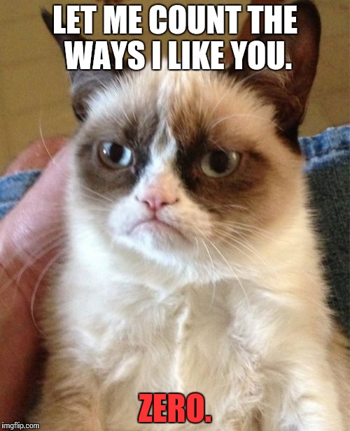 Lets be honest... | LET ME COUNT THE WAYS I LIKE YOU. ZERO. | image tagged in memes,grumpy cat | made w/ Imgflip meme maker