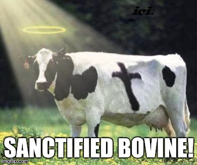 Holy Cow | SANCTIFIED BOVINE! | image tagged in holy cow,memes | made w/ Imgflip meme maker